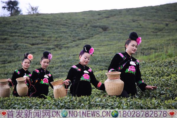 雷山采茶女孩3.JPG
