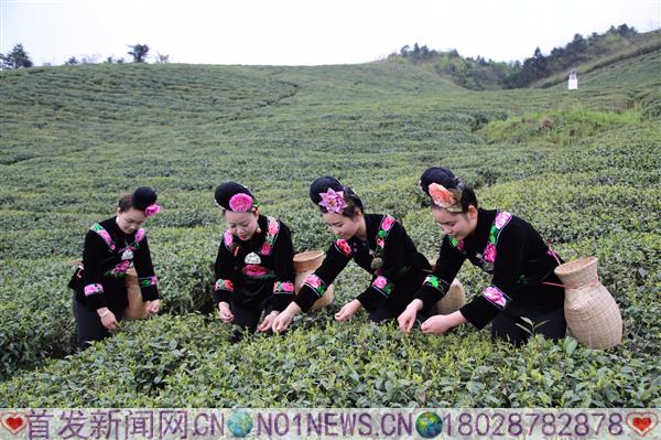 雷山采茶女孩4.JPG