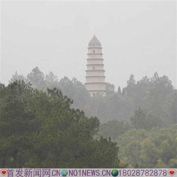 DSCN6538.JPG