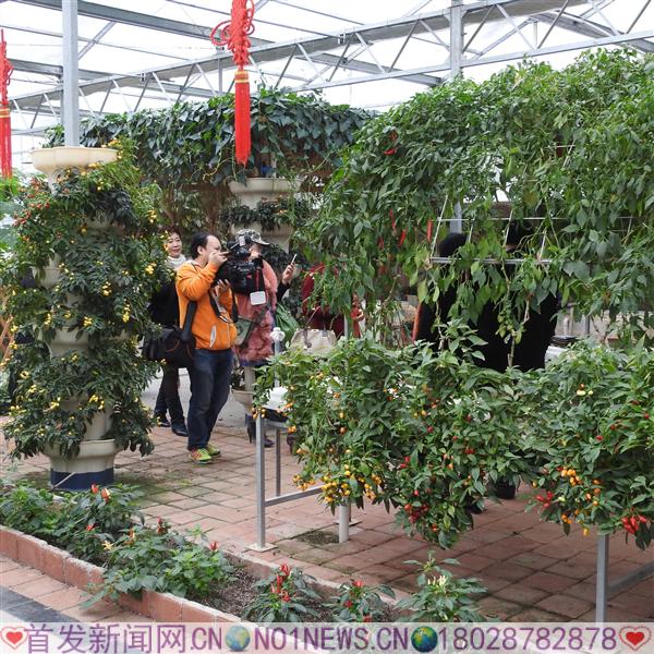 DSCN6539.JPG