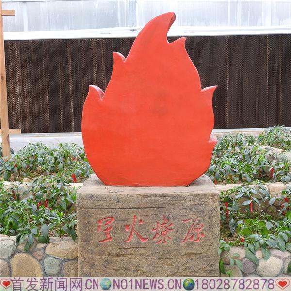 DSCN6548.JPG