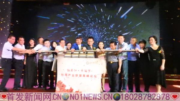 DSCN6559.JPG