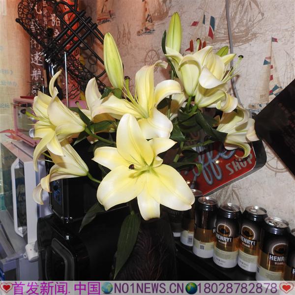 DSCN3491.JPG